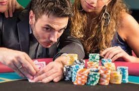Tampilan Paito Harian dengan data hasil dan odds